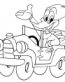 Woody Woodpecker in Car Adhesive Vinyl Decal Sticker
