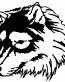 032 Siberian Husky Decal