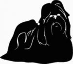 Shih Tzu Dog Decal