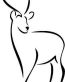 Diecut Deer Decal