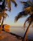 Beaches and Coastal Vinyl Wall Graphics 109