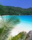 Beaches and Coastal Vinyl Wall Graphics 184