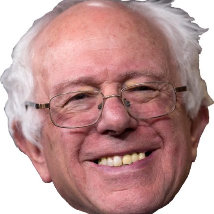 BERNIE FACE