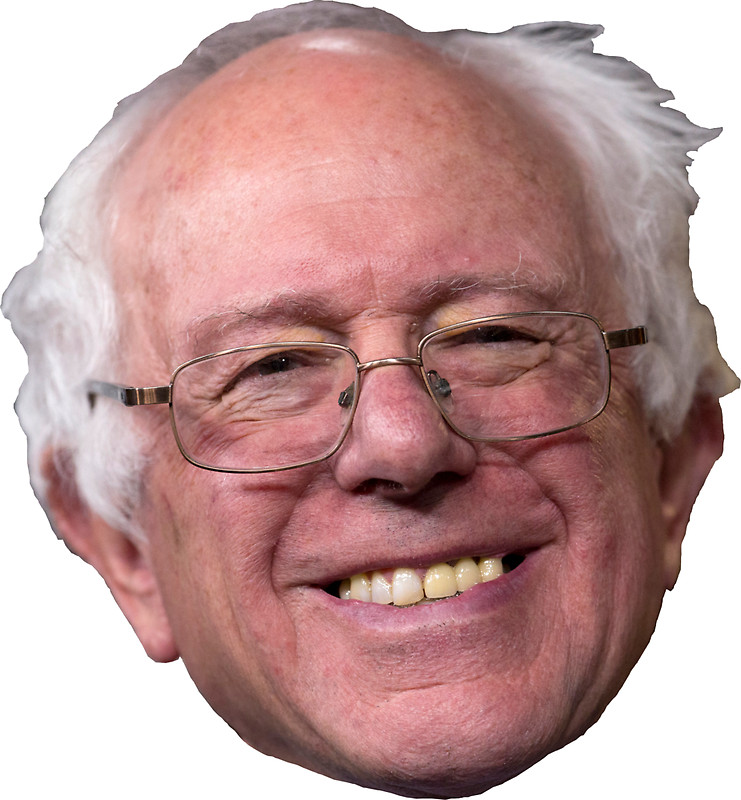 BERNIE FACE - Pro Sport Stickers