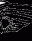 Biker Skull Decal 10