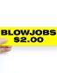 blow jobs2 dollars bumper sticker