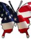 Butterfly Camo Sticker 2 - FLAG USA
