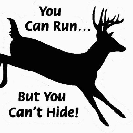 Can Run but Cant Hide Hunting Decal