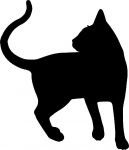 Cat Cats Animal Animals Vinyl Decal Sticker 14