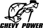 Chevy Power Turtle Decal