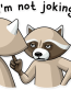 criminal raccoon_39