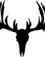 Deer Skull 03