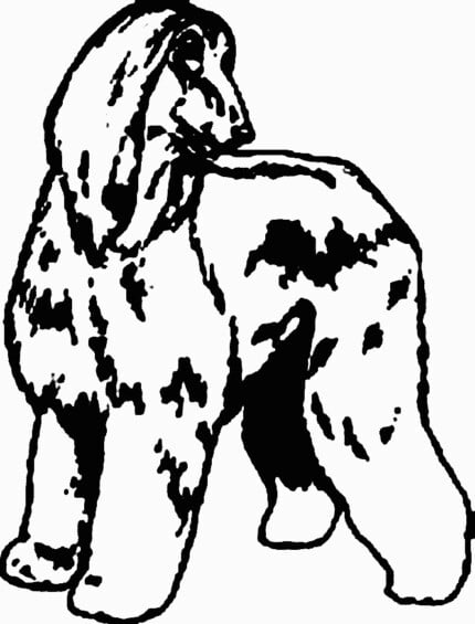 Dog Breed Decal 01