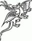 Dragon Decal 6