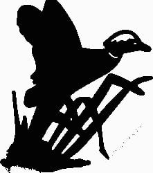 Duck Hunting Decal Sticker 20