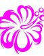 Flower TRIBAL HIBISCUS sticker