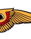 Hells angels  LEFT funny color auto sticker