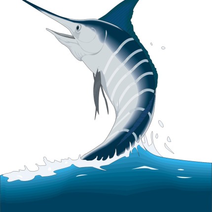Marlin Color Fish Sticker 2