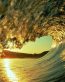 Oceans and Surf Wall Graphic Decals 09