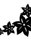 Plumeria Flowers Border Decal