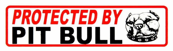 protected by pit bull bumper sticker