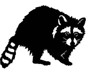 Racoon Hunting Sticker 3