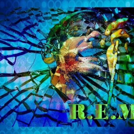 REM 2 Color Band Decal