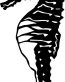 Sea Horse Die Cut Decal