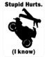 Stupid Hurts Super Bike Sticker Pack