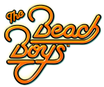 Beach Boys Color Logo