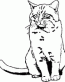 Cat Decals 06