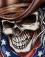cowboy skull rebel drawing sticker