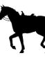 Cowgirl Decal 3