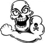 Die Cut Vinyl Skull Decal 1