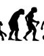 Disc Golf Evolution Diecut Decal