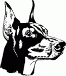 Doberrman Head Decal