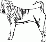 Dog Breed Decal 12