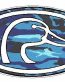 Duck Hunting Oval Decal 66 - Camo Blue