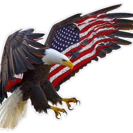 Eagle-american-flag-in wings sticker