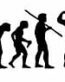 Evolution Sport Stickers FENCING