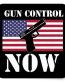 GUN CONTROL NOW USA FLAG STICKER
