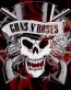 guns and roses sticker
