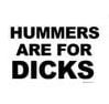 Hummers Decal