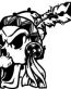 Indian Skull Decal 2