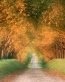 Landscape Vinyl Wall Graphic Decals 03