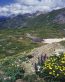 Mountain Scenes Wall Art Decals 144