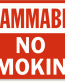 No Smoking Flammable Sign 2