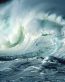 Oceans and Surf Wall Graphic Decals 27