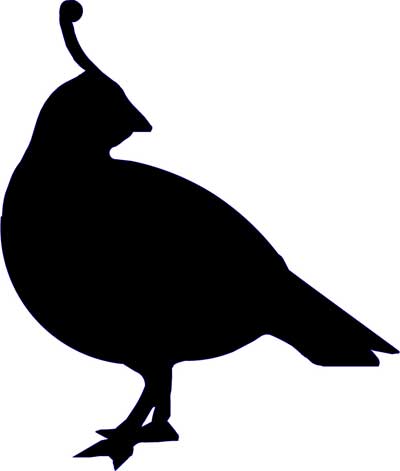 Quail Vinyl Decal