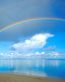 Rainbow Vinyl Wall Art Graphics 07